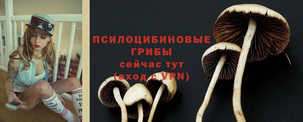 твердый Верея