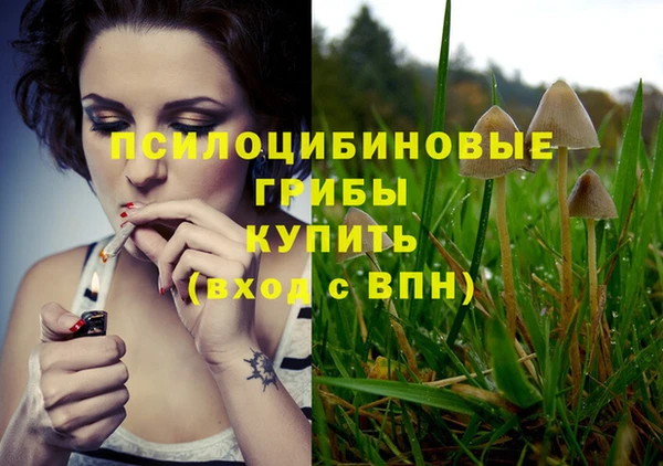 дмт Протвино